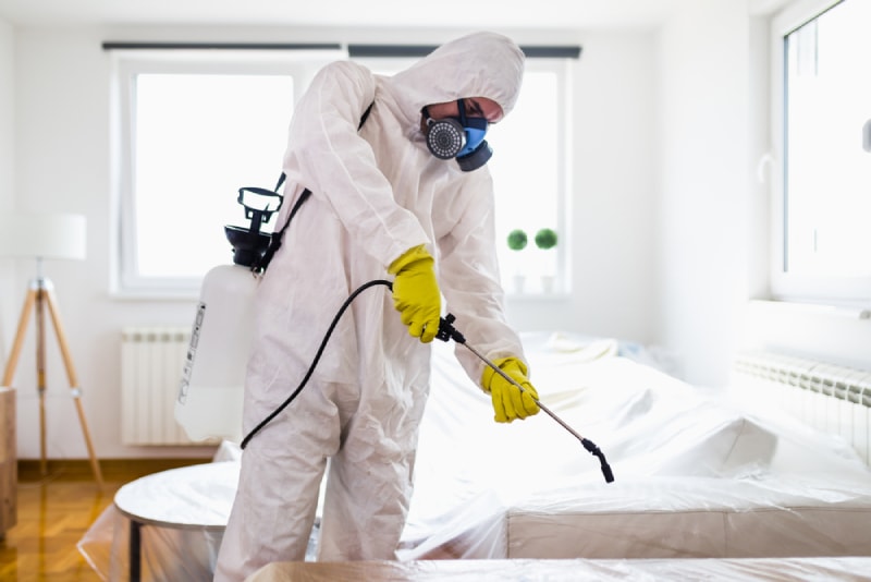 pest control services at home