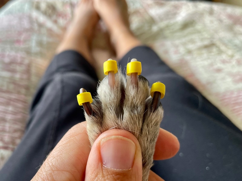 putting on grips on one foot