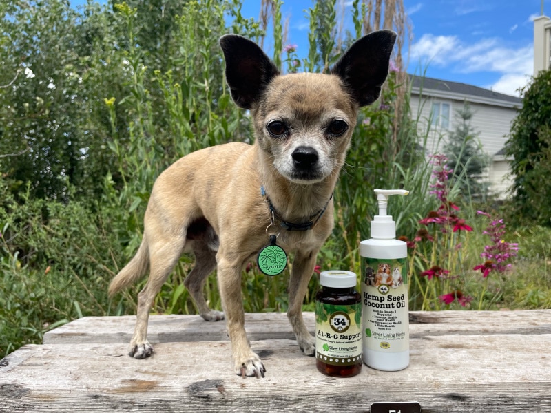 pyro and silver lining herbs products outdoor