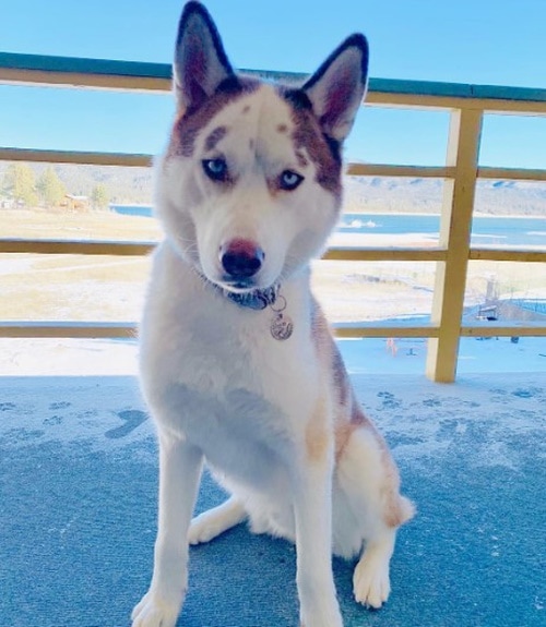 Big Bear Lakefront Lodge