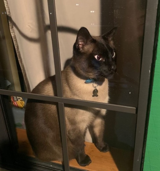 Black Forest Lodge, Big Bear Ca.