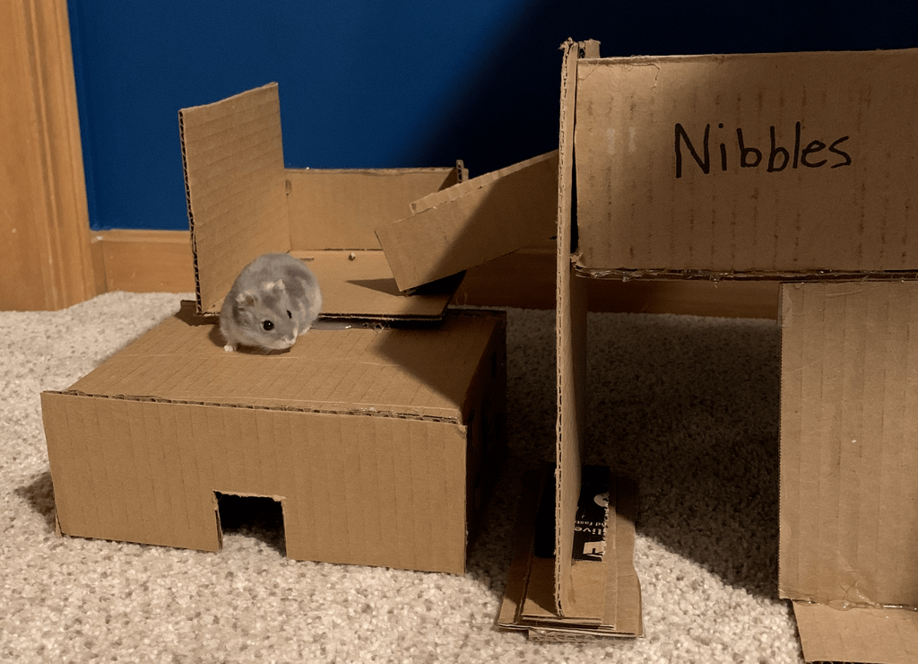 Cardboard Hamster Playground- instructables