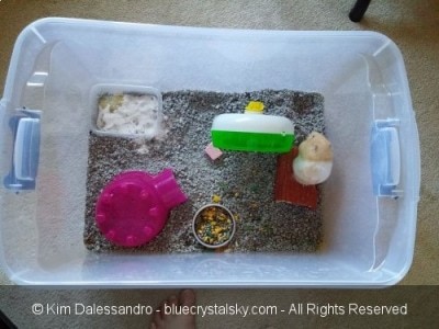 DIY Hamster Bin Cages