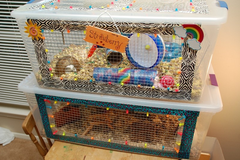 DIY Hamster Bin Cages