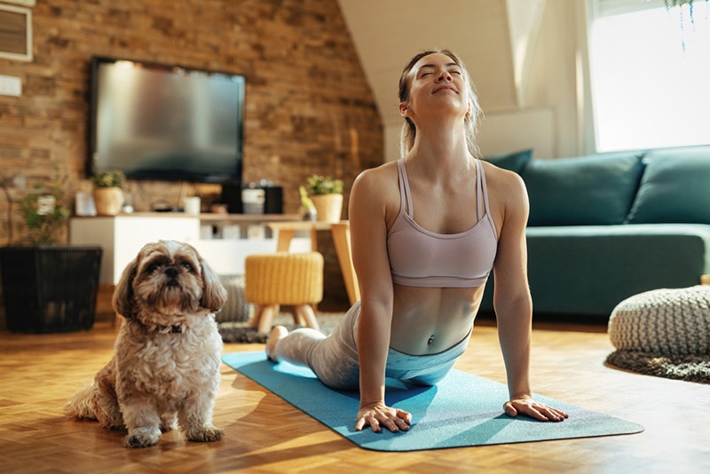 Dog Owner Yoga with Dog