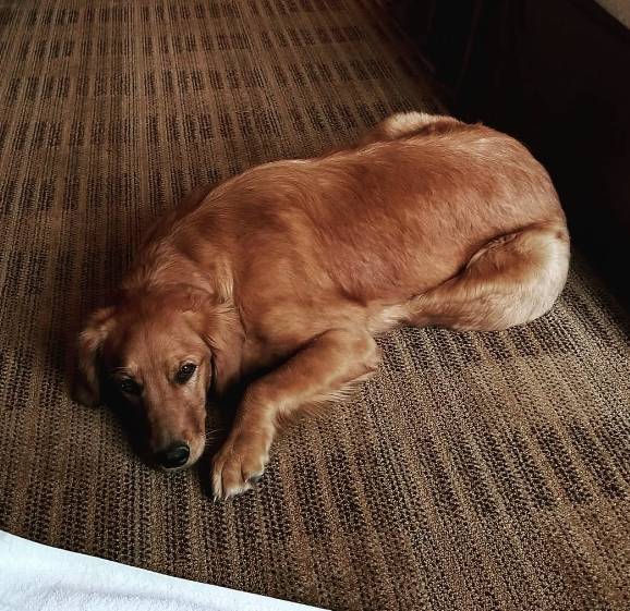 Extended Stay America