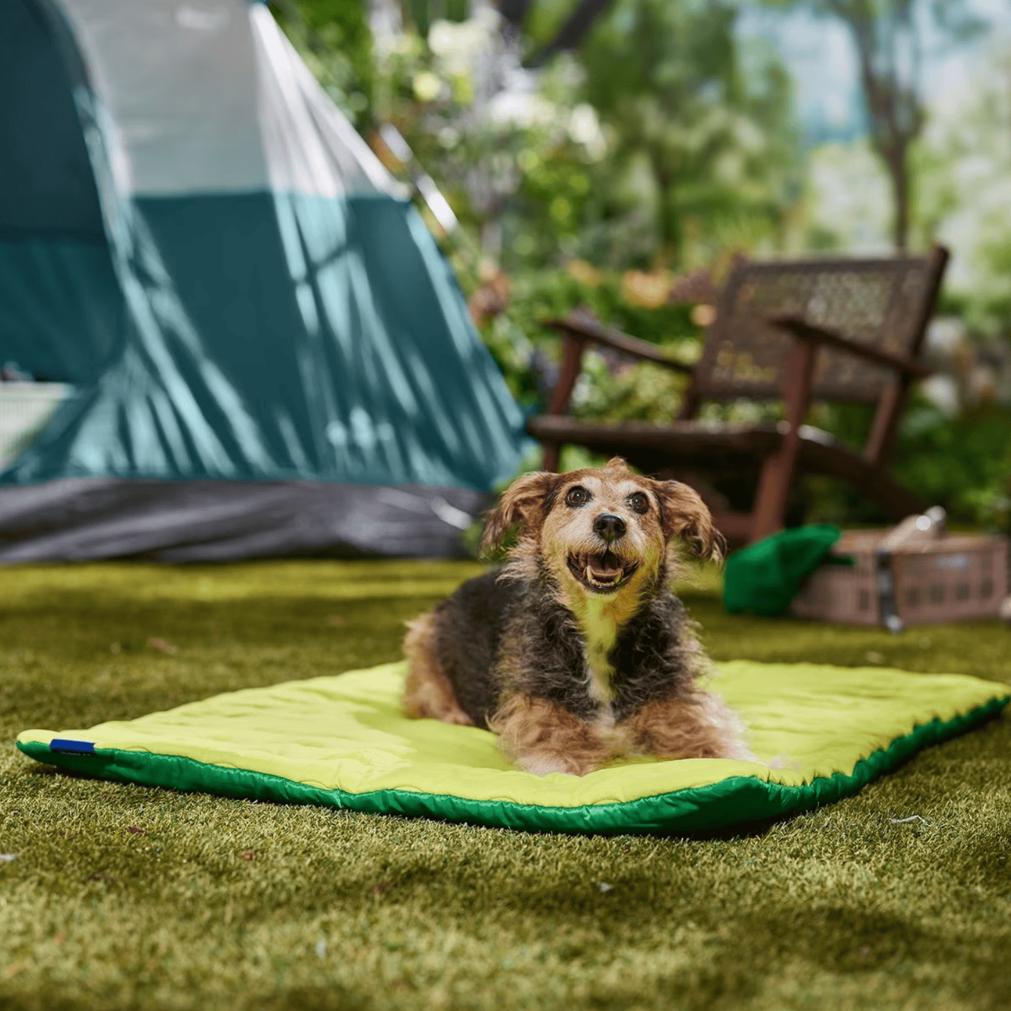 Frisco Travel Pillow Dog Bed