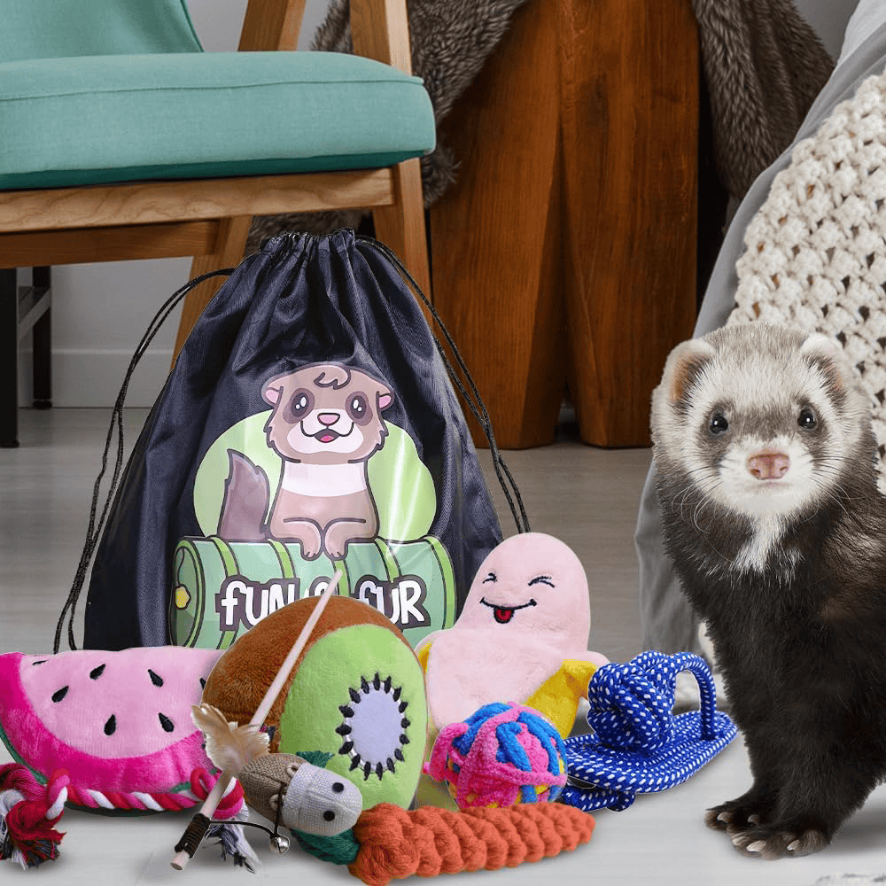 Fun & Fur Ferret