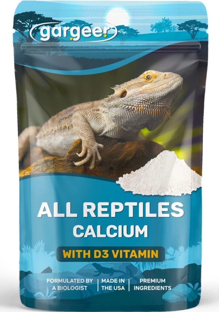 Fresh Look at 10 Best Calcium Powders For Bearded Dragons