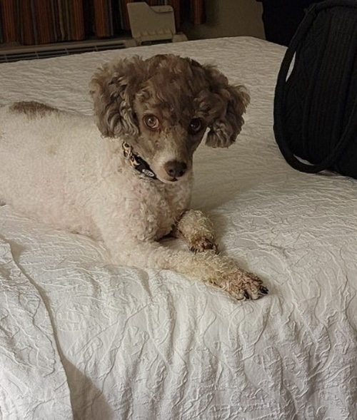 Hampton Inn and Suites Fredericksburg