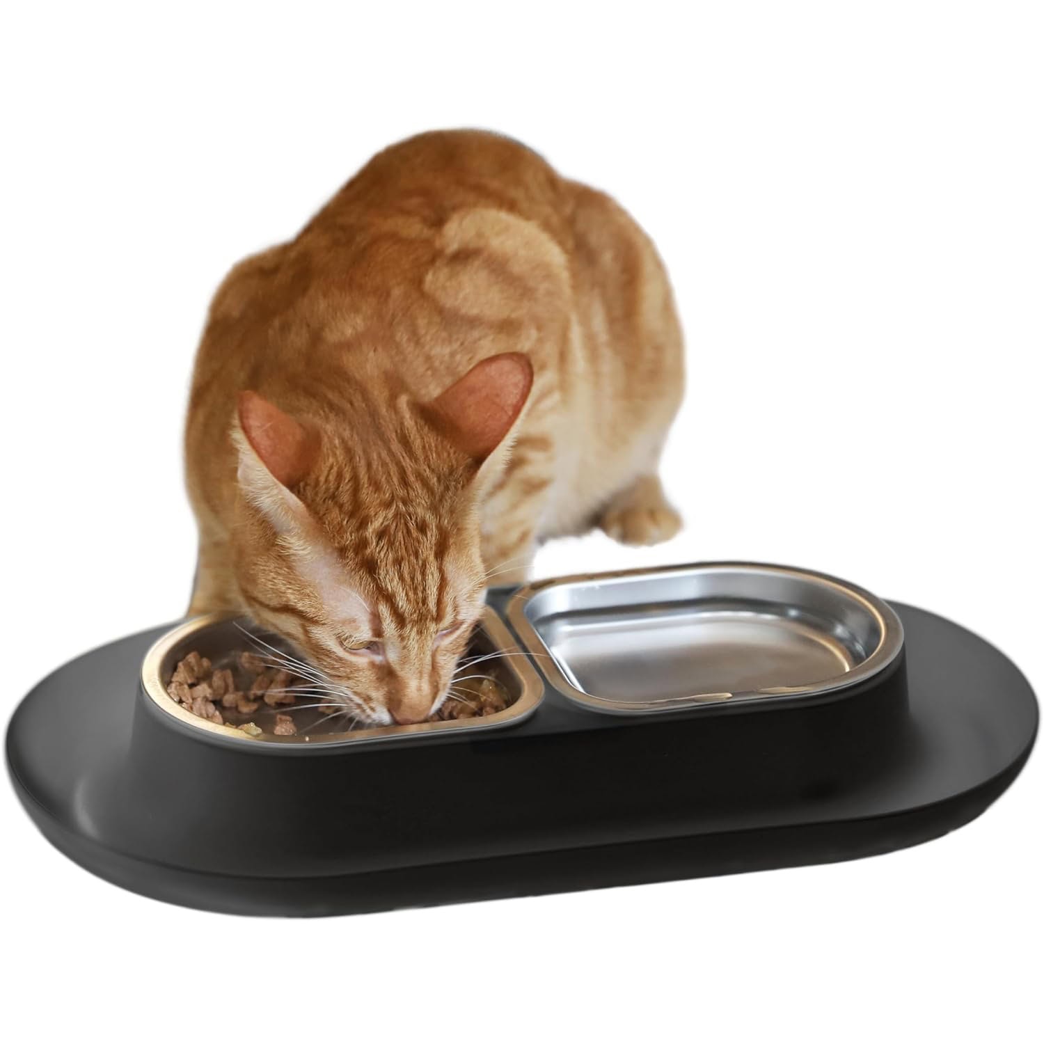 Hepper NomNom Bowl 