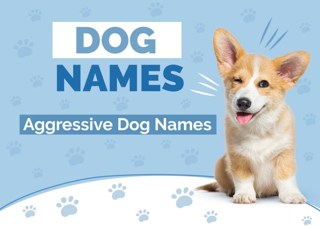 Aggressive Dog Names
