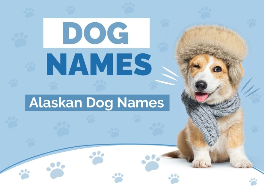 Alaskan Dog Names