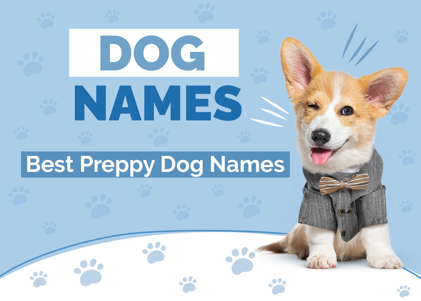 Preppy Dog Names