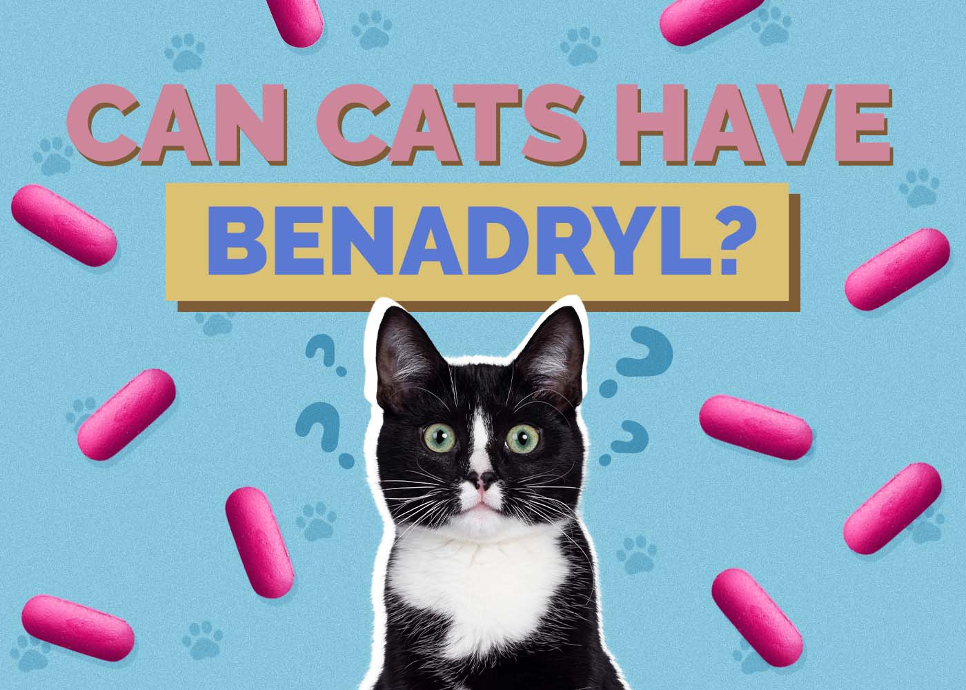 Hepper_Can Cats Have_Benadryl