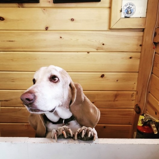 Hillcrest Suites & Cabins