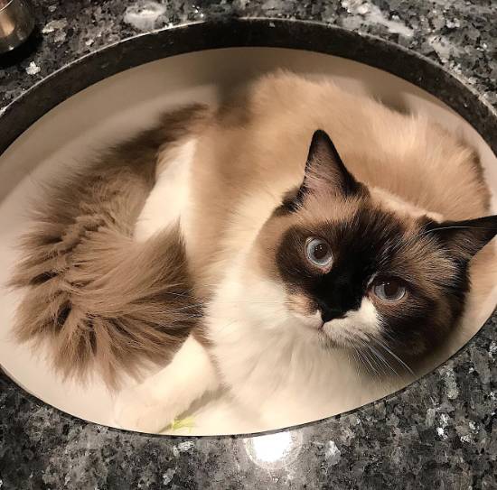 Hilton Garden Inn Colorado Springs