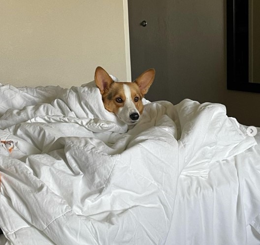 Holiday Inn Express Fredericksburg