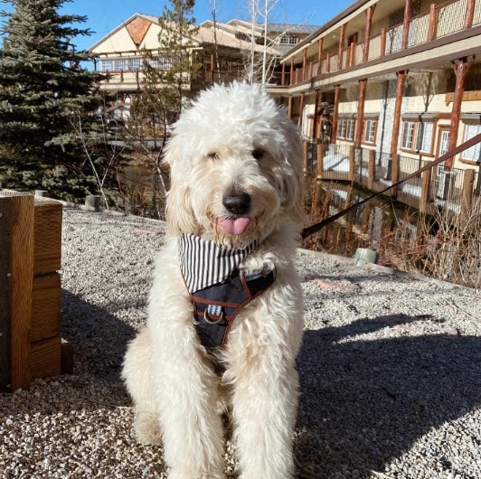 Holiday Inn Resort the Lodge