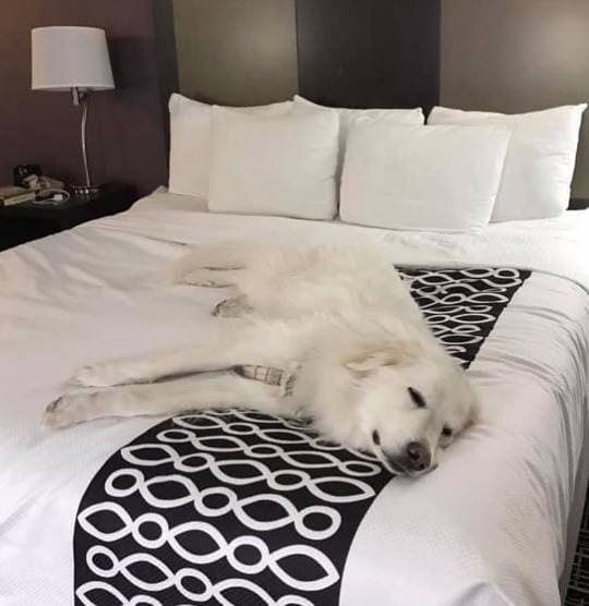 La Quinta Inn & Suites by Wyndham Colorado Springs