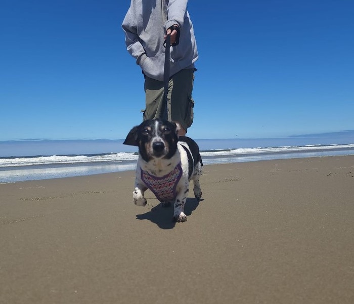 Lighthouse Inn-Florence