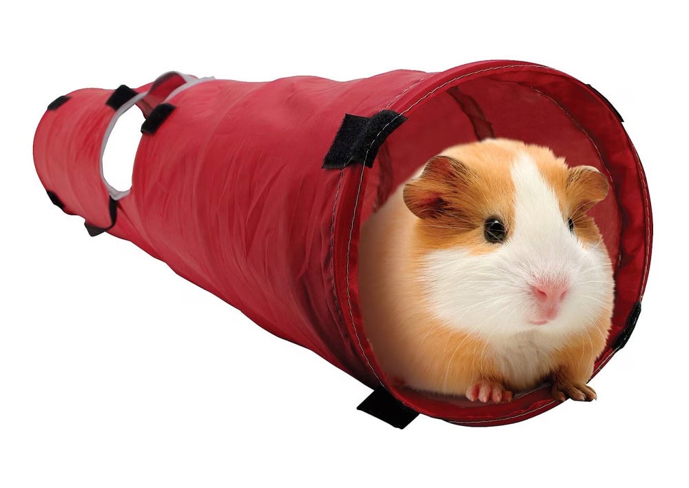 Living World Small Animal Tunnel