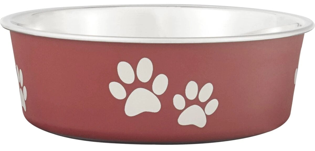 Loving Pets Bella Bowls Pet Bowl