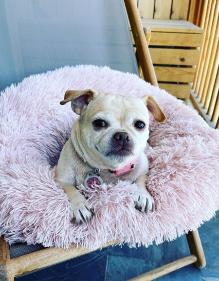 Marina Riviera Big Bear