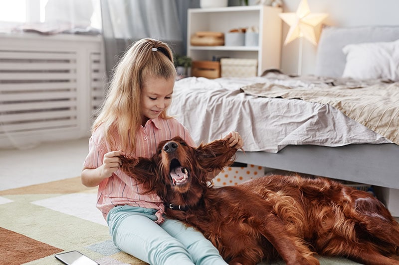 Portrait of cute blonde girl playing with Irish Setter dog on floor in cozy home interior