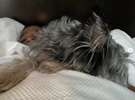 Quality Inn Fredericksburg, Central Park Area