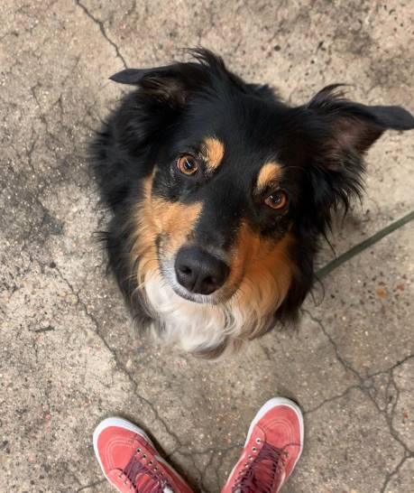 SCP Colorado Springs Hotel