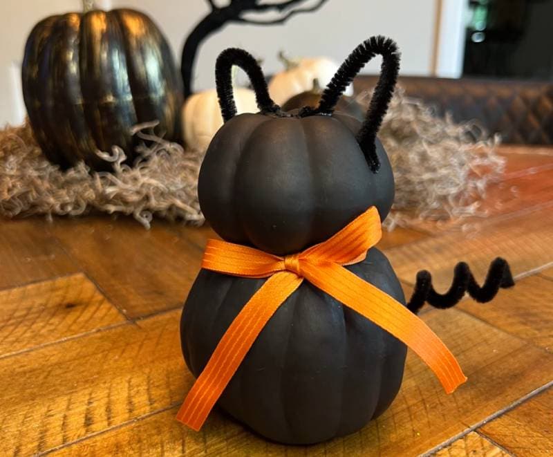 Spook-tacular DIY Pumpkin Black Cat