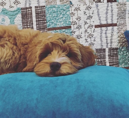 Woahink Lake RV Resort