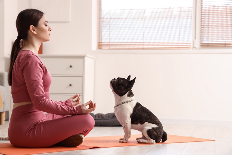 Young Woman Doing Yoga with Dog Owner