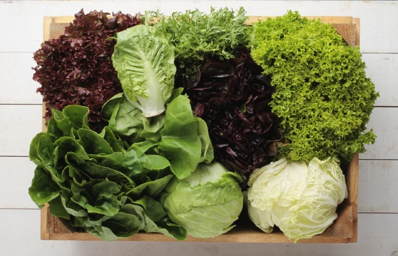 fresh whole lettuce varieties in a wooden box