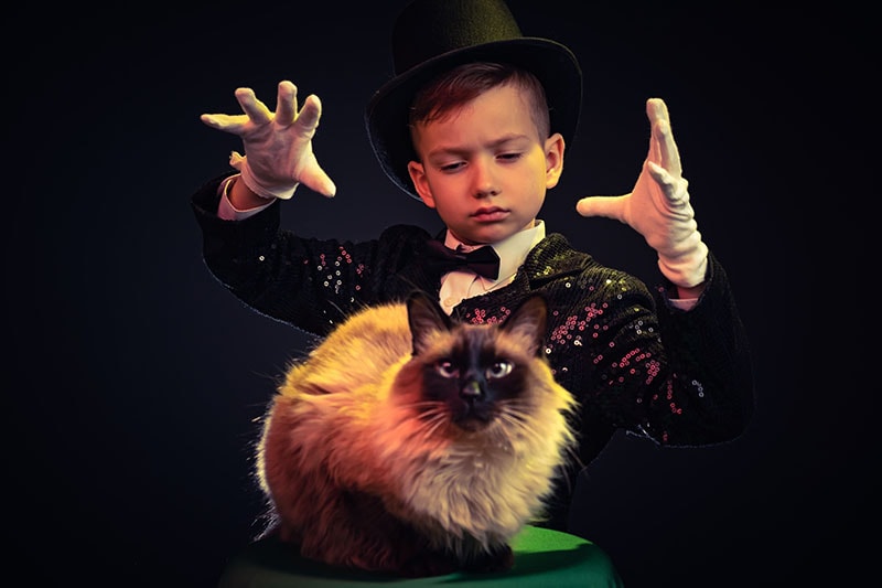 little magician and his cat
