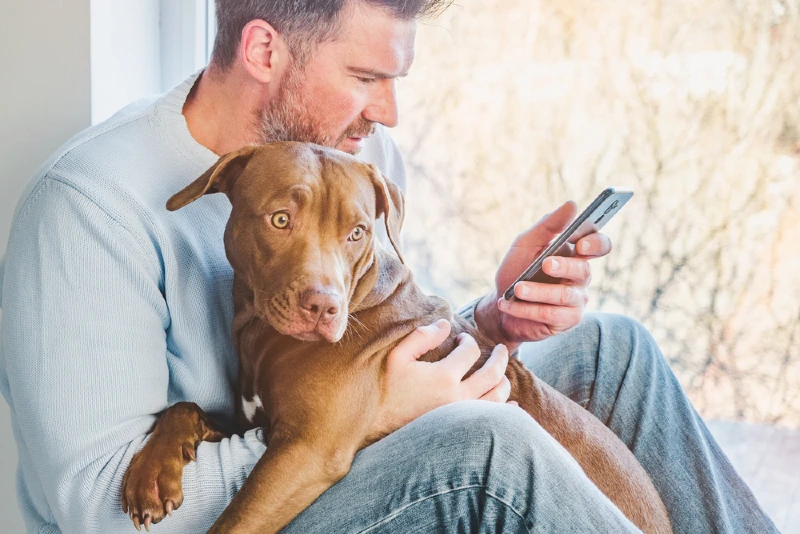 man holding a puppy dog while using his mobile phone