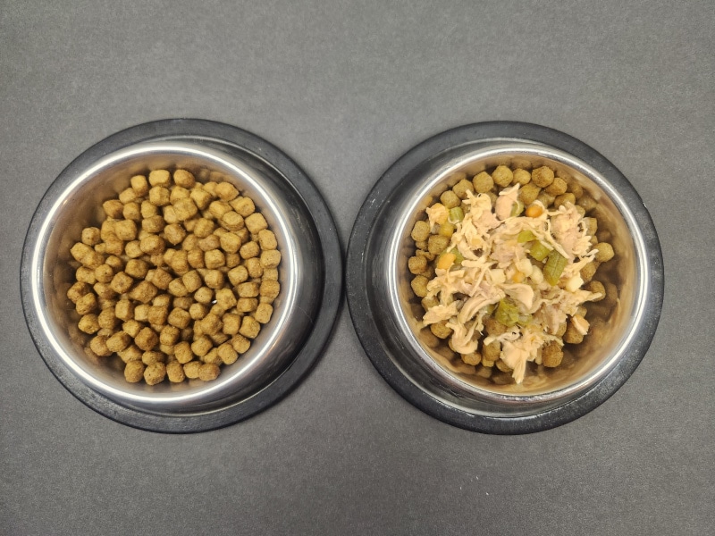 nutro natural choice dry food and topper