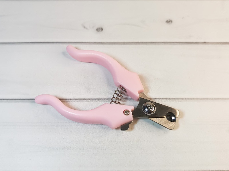 pet nail clipper on a light wooden background