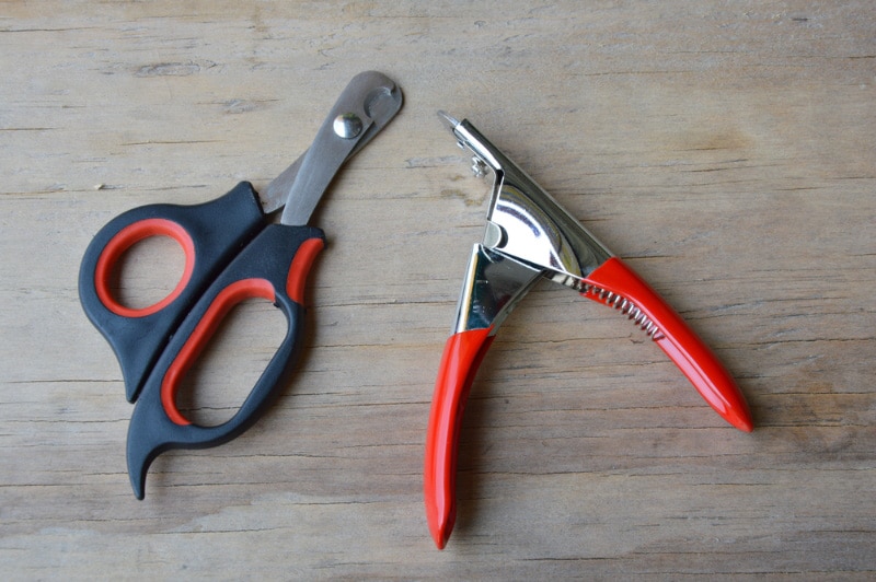 two nail clippers on wooden background