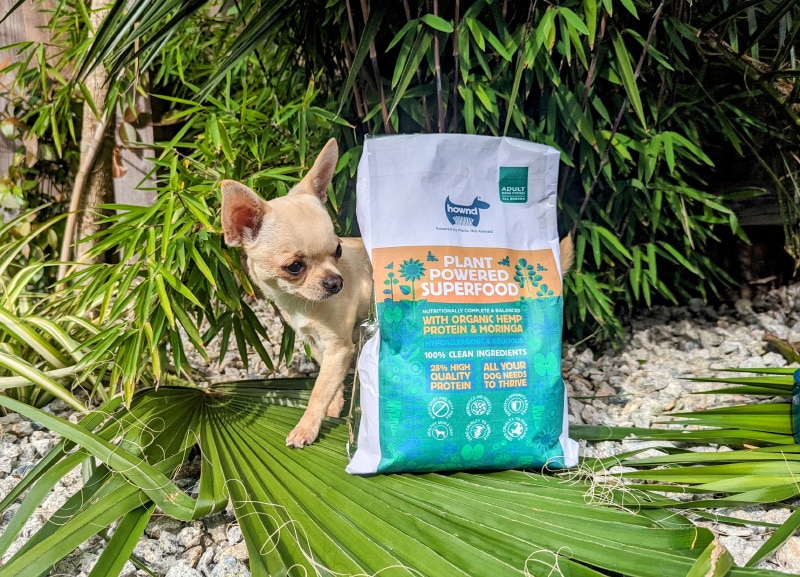 unleash your hownd plant powered superfood dry kibble - ned standing behind the bag
