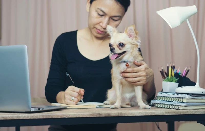 woman writing down notes with a chihuahua dog on the table
