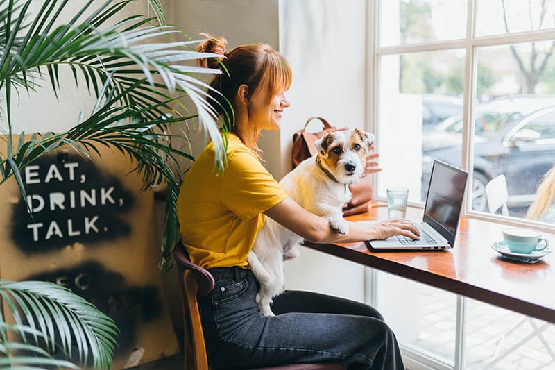 young girl and her dog inside the cafe