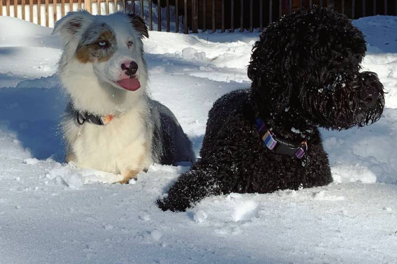 3 Peaks Resort & Beach Club