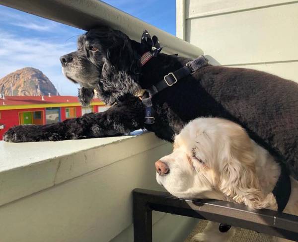 456 Embarcadero Inn & Suites