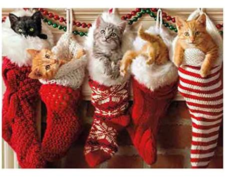 Avanti Press Christmas Cards