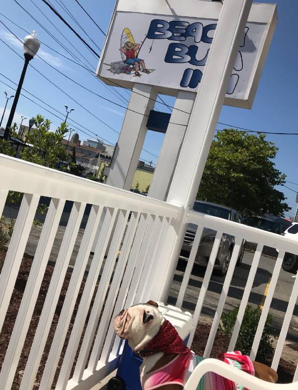 Beach Bum Inn
