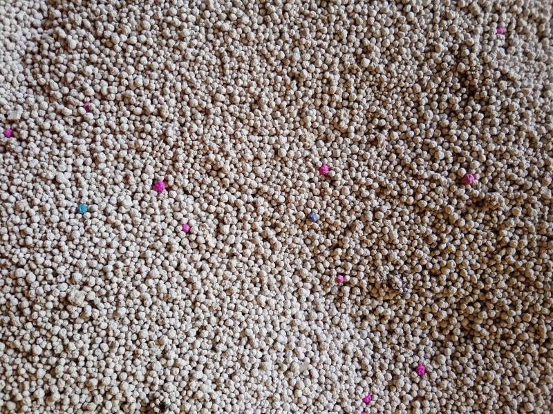 Bentonite clay texture for cat litter