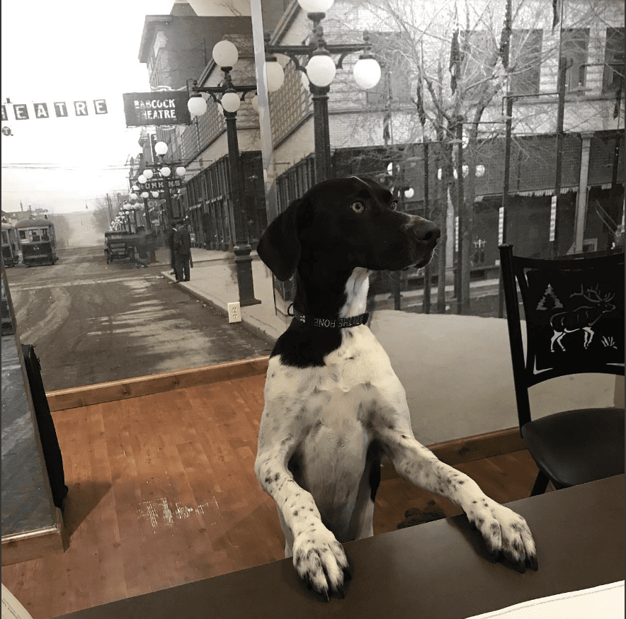 Best Western Plus Clocktower Inn_melanieladdington