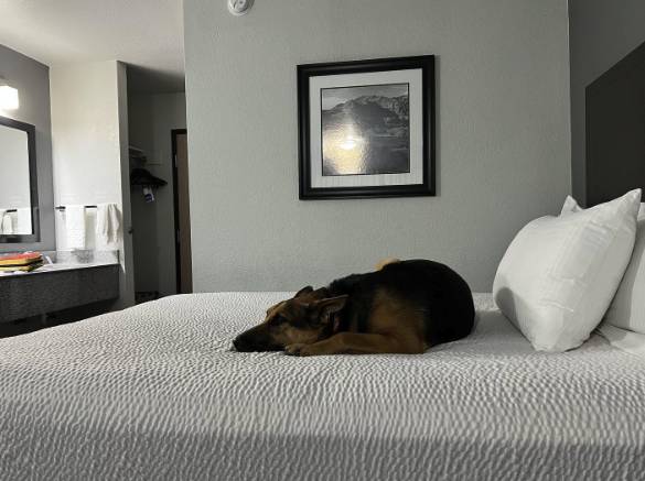 Best Western Santa Fe